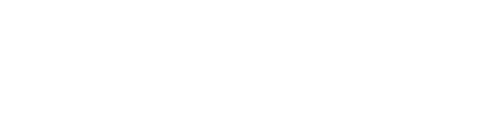 MVM Logo